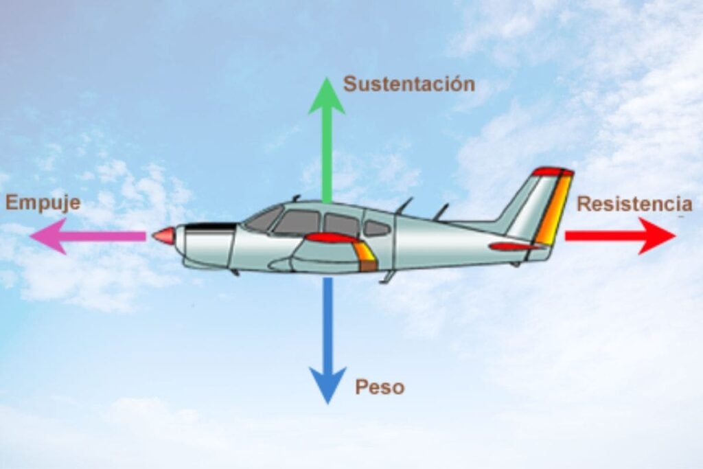 diseño sin título (1)